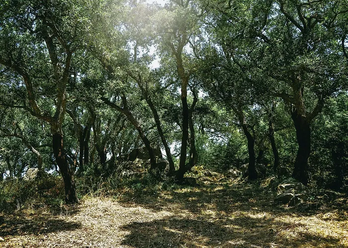 Vallegrande Nature By Geocharme